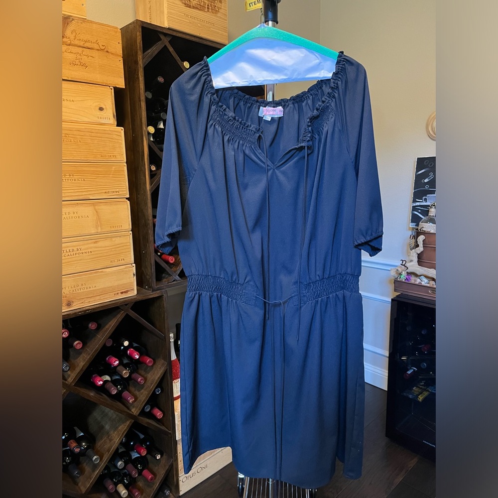 Loft navy dress with cinched waist